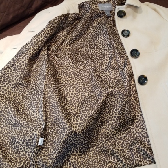 Coat - Picture 4 of 5